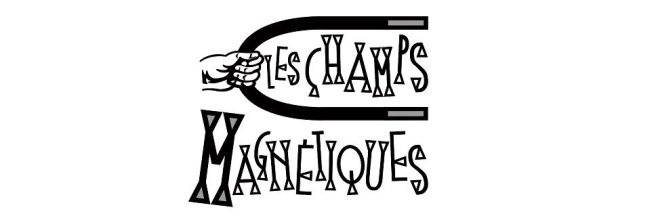 Champs magnétiques (Champs magnétiques) Champs magnétiques