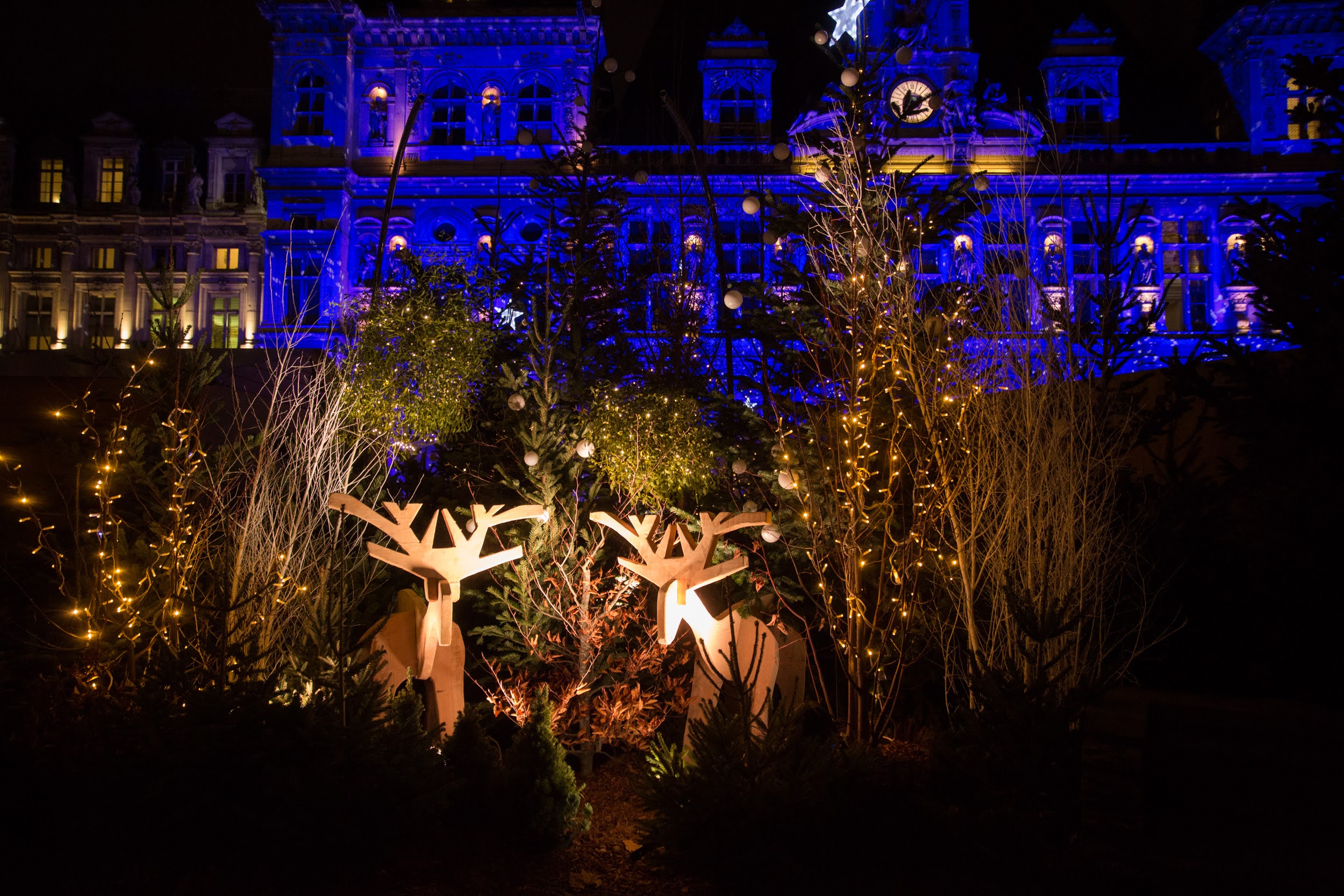 Illuminations et forêt enchantée sur le parvis de l'hôtel de Ville (Joséphine Brueder/Ville de Paris) Illuminations et forêt enchantée sur le parvis de l'hôtel de Ville