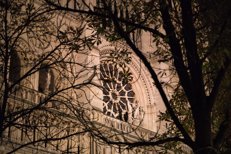 Notre Dame de Paris (Guillaume Bontemps/Ville de Paris) Notre Dame de Paris