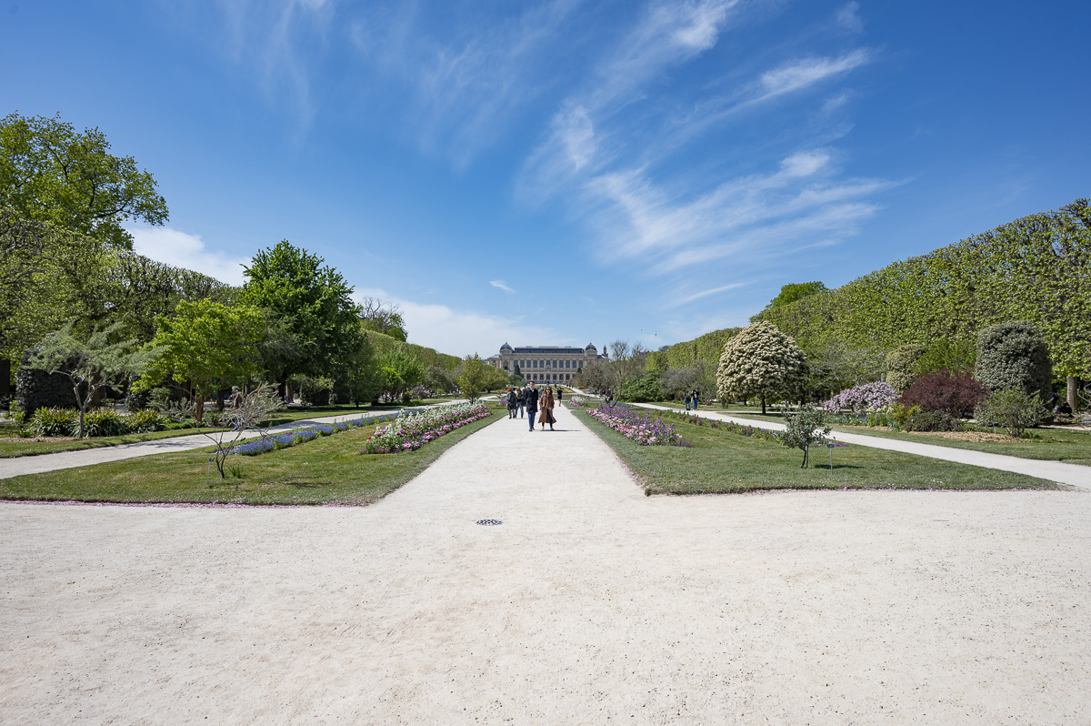 Le Jardin des plantes 5e. (François Grunberg / Ville de Paris) Le Jardin des plantes 5e.