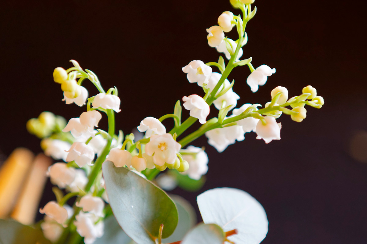 Muguet (Henri Garat / Ville de Paris) Muguet