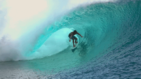 Surf GIF (©Giphy) Surf GIF