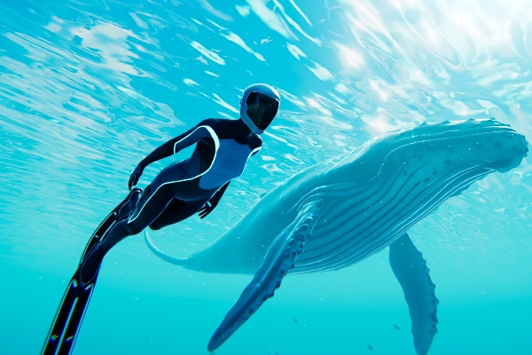 Carte blanche à la Canopée : exploration sous-marine |