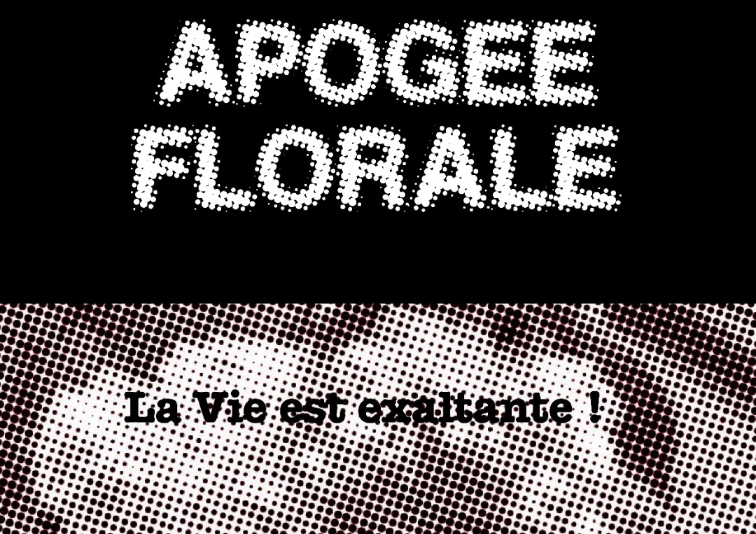 Carte postale souvenir de l'installation