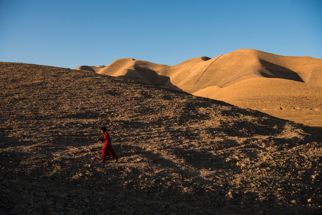Qala-e-Naw, dans le nord-ouest de l'Afghanistan, 2021 (Andrew Quilty / Agence VU pour Action contre la Faim) Qala-e-Naw, dans le nord-ouest de l'Afghanistan, 2021