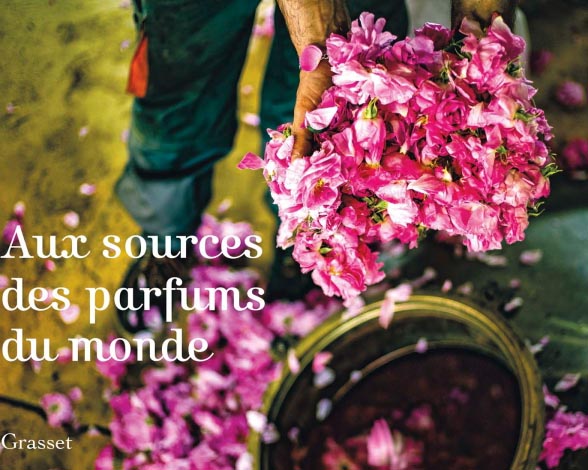 Dominique Roques : aux sources des parfums du monde |