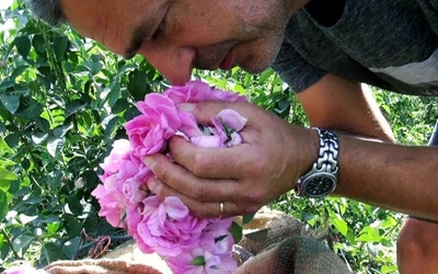 Le documentaire parfumé : escale au Japon |