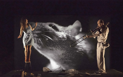 Tout commence dans une ville où les rats prolifèrent. Seul un musicien parvient à régler le problème.