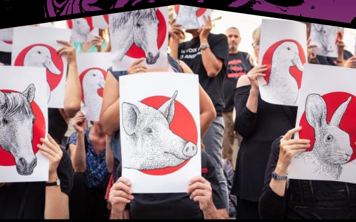 Conférence antispécisme au Hasard Ludique