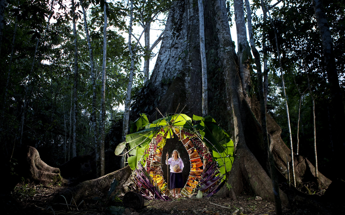 Vitrail Vegetal Vanuatu