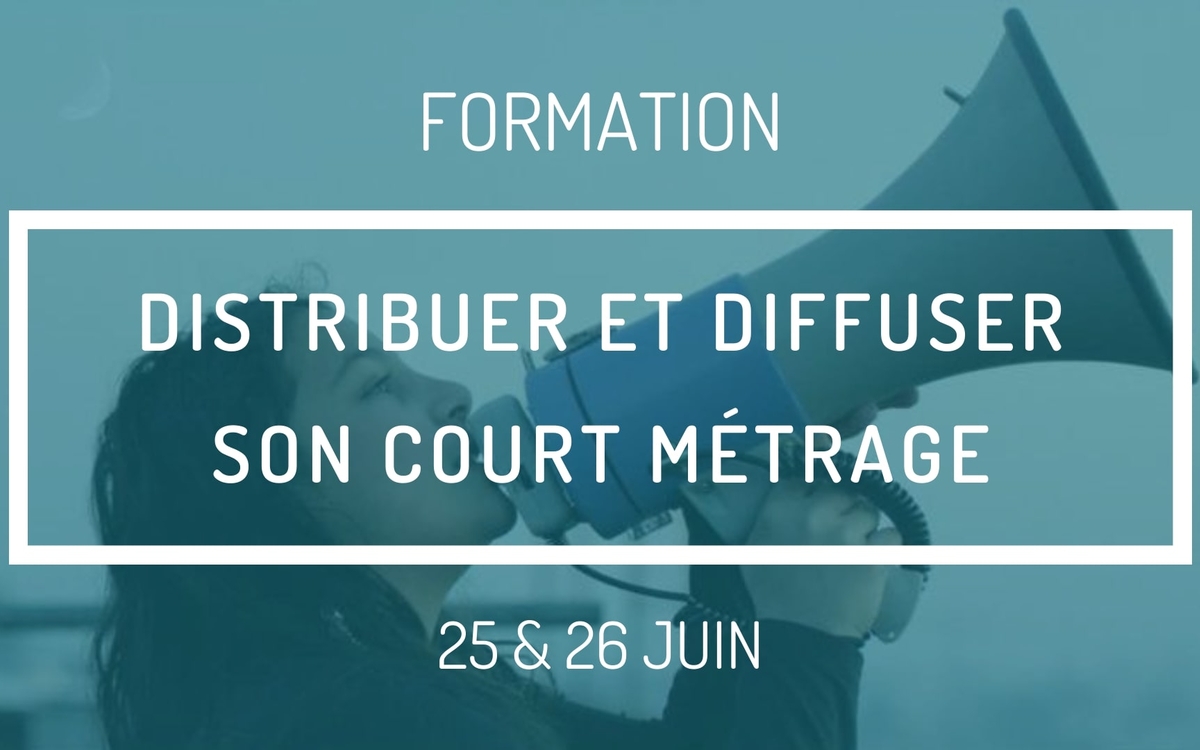 Distribuer et diffuser son court métrage. 25 et 26 juin 2022. de 10h à 18h