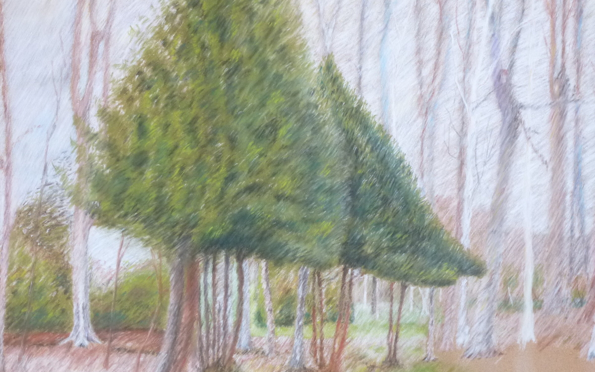 Cours et stages de dessin à Paris-Nathalie Avril