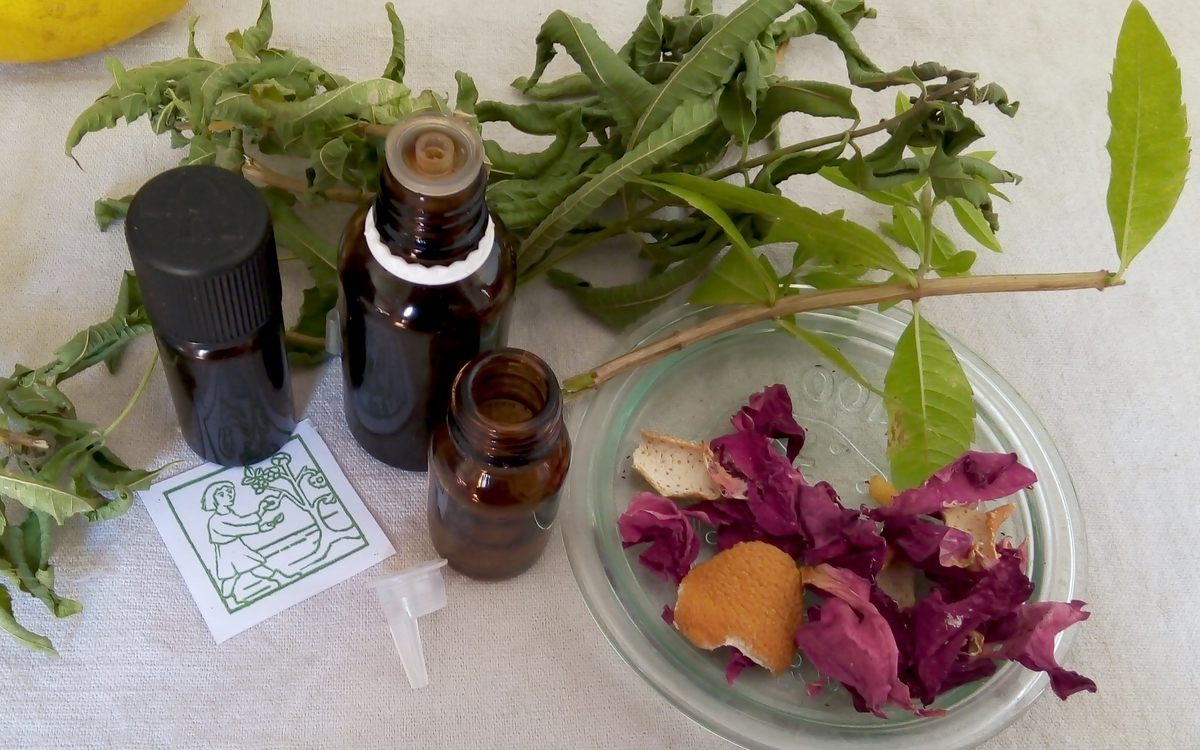 mage générique pour tous les ateliers huiles essentielles avec des plantes qui continnent des huiles essentielles.