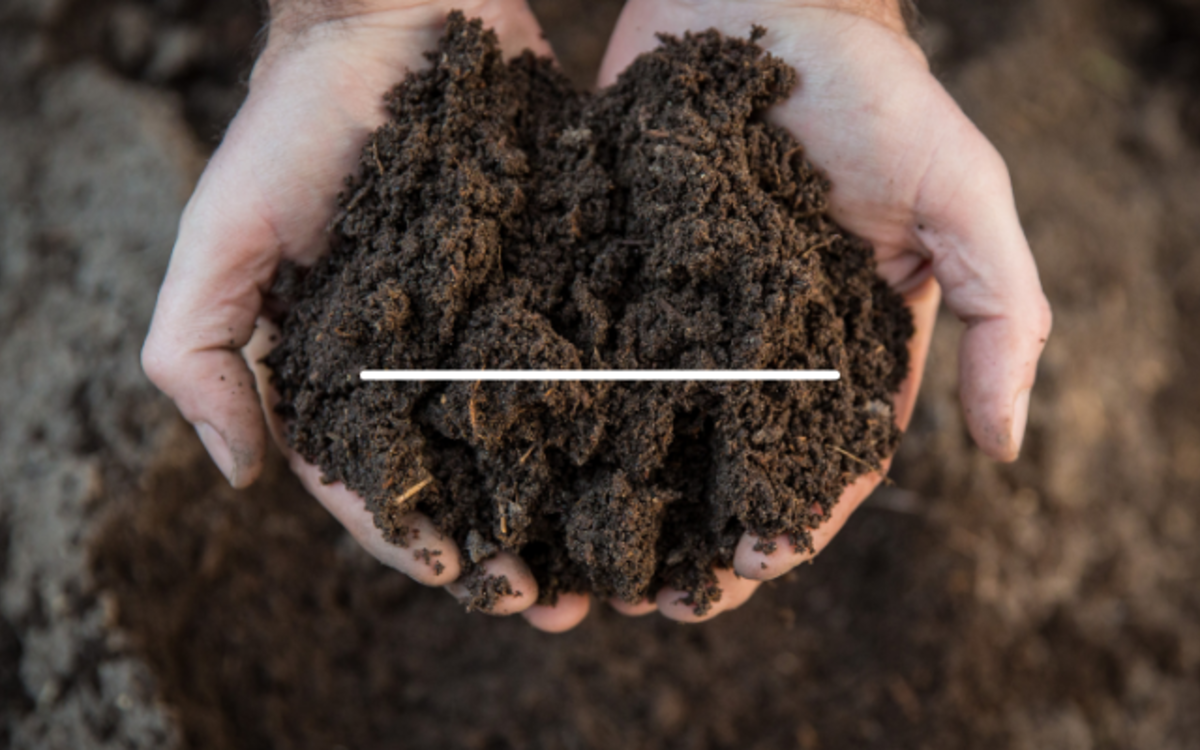 Mains tenant du compost