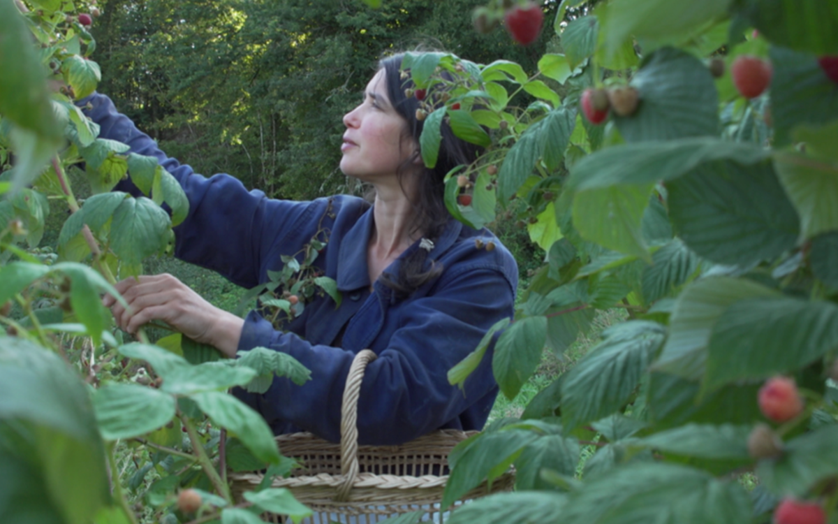 image du film La terre du milieu
