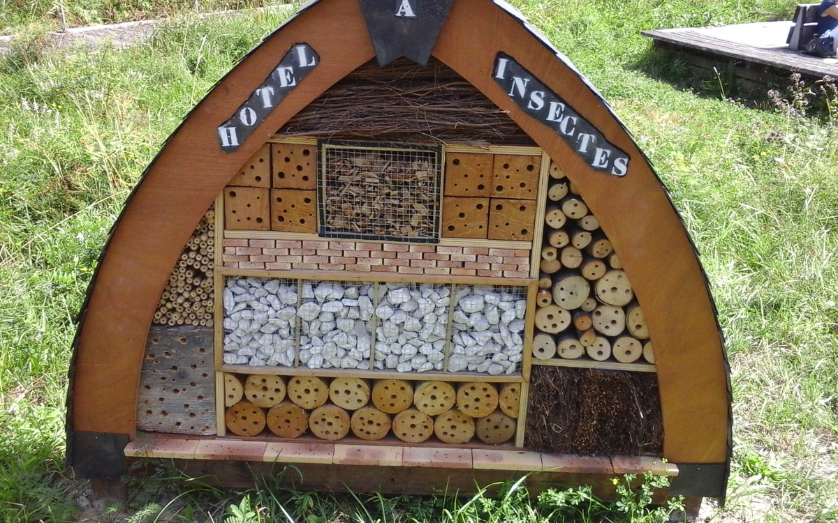 Hôtel à insectes