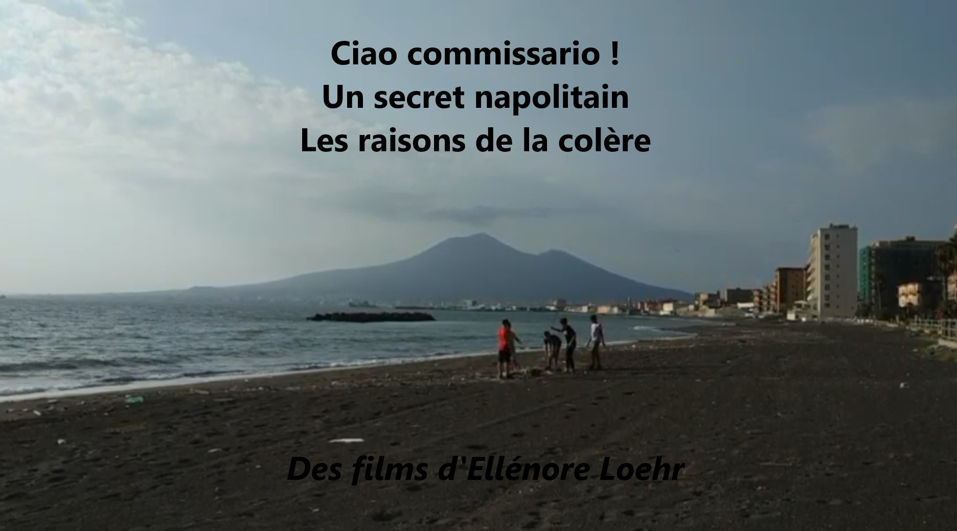 Affiche film Les raisons de la colère