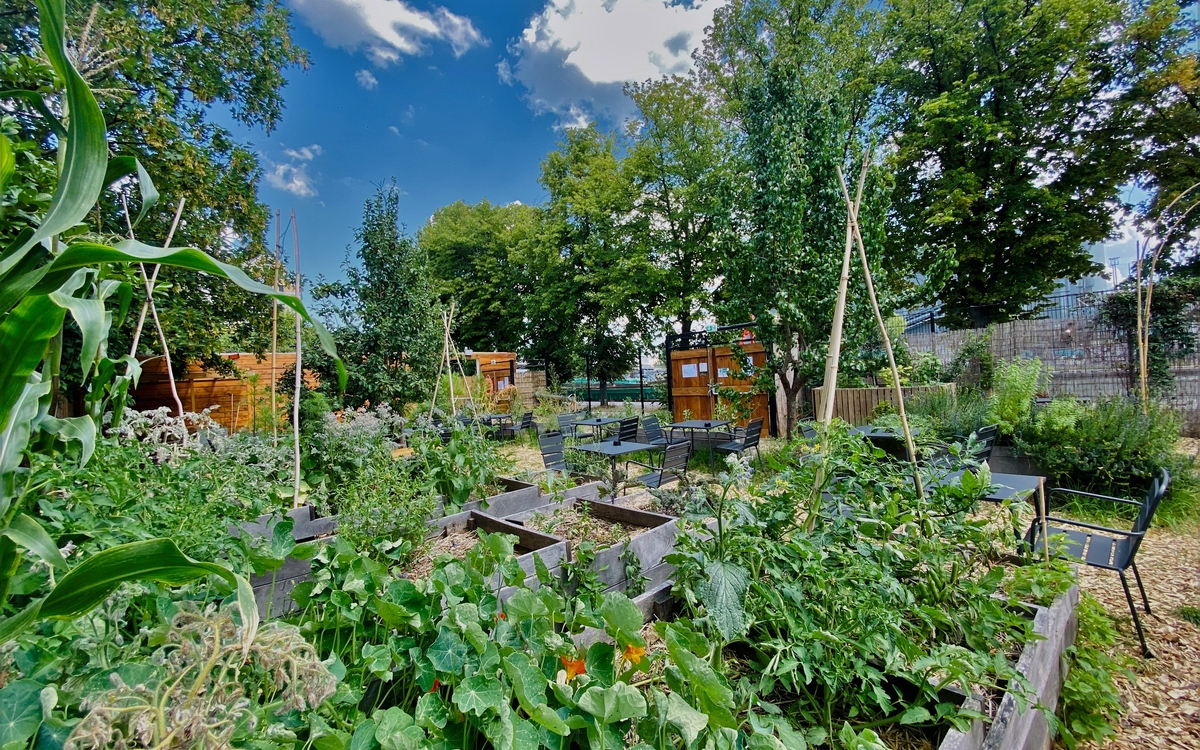 Jardin potager