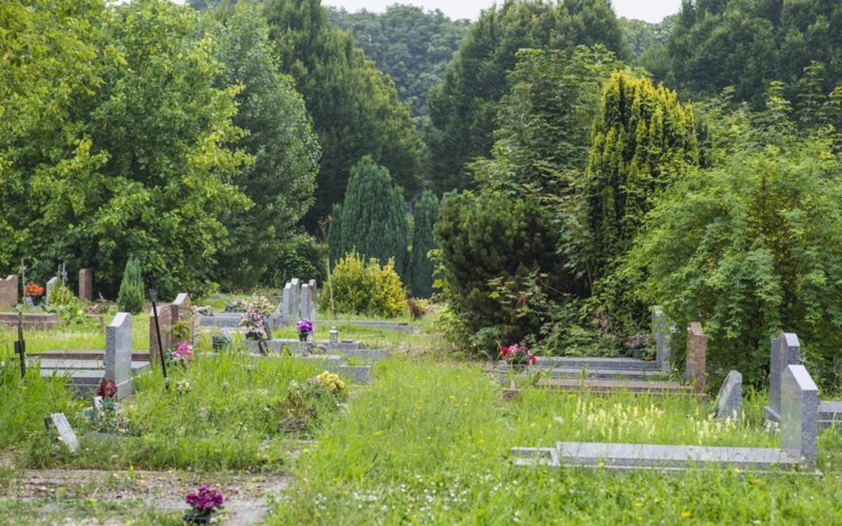Vue générale sur les tombes et la nature environnante