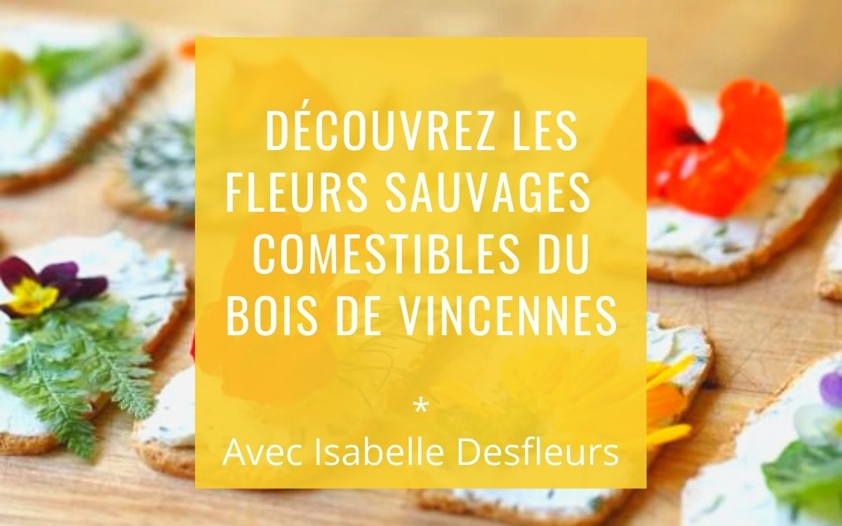 Balade Délicieuses fleurs sauvages comestibles du Bois de Vincennes