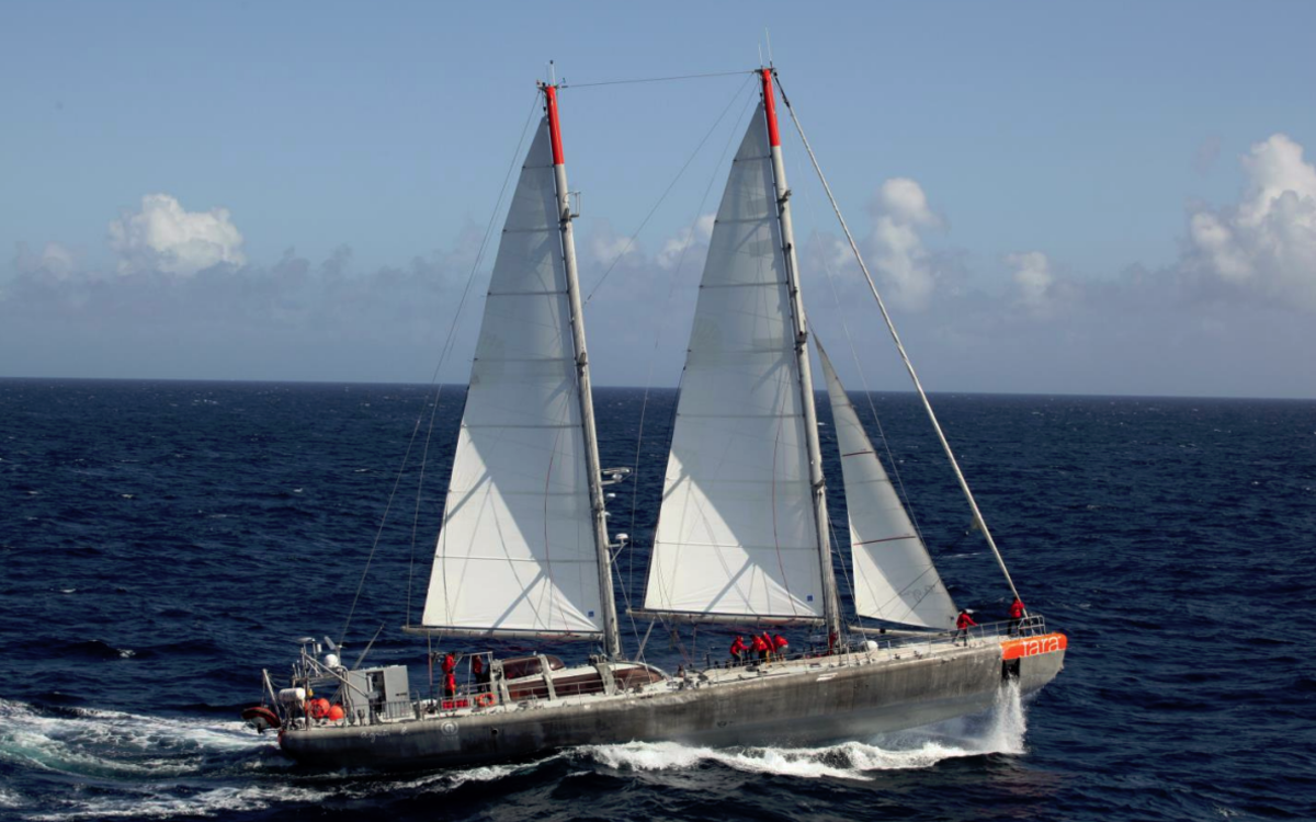 Expédition Tara Océans