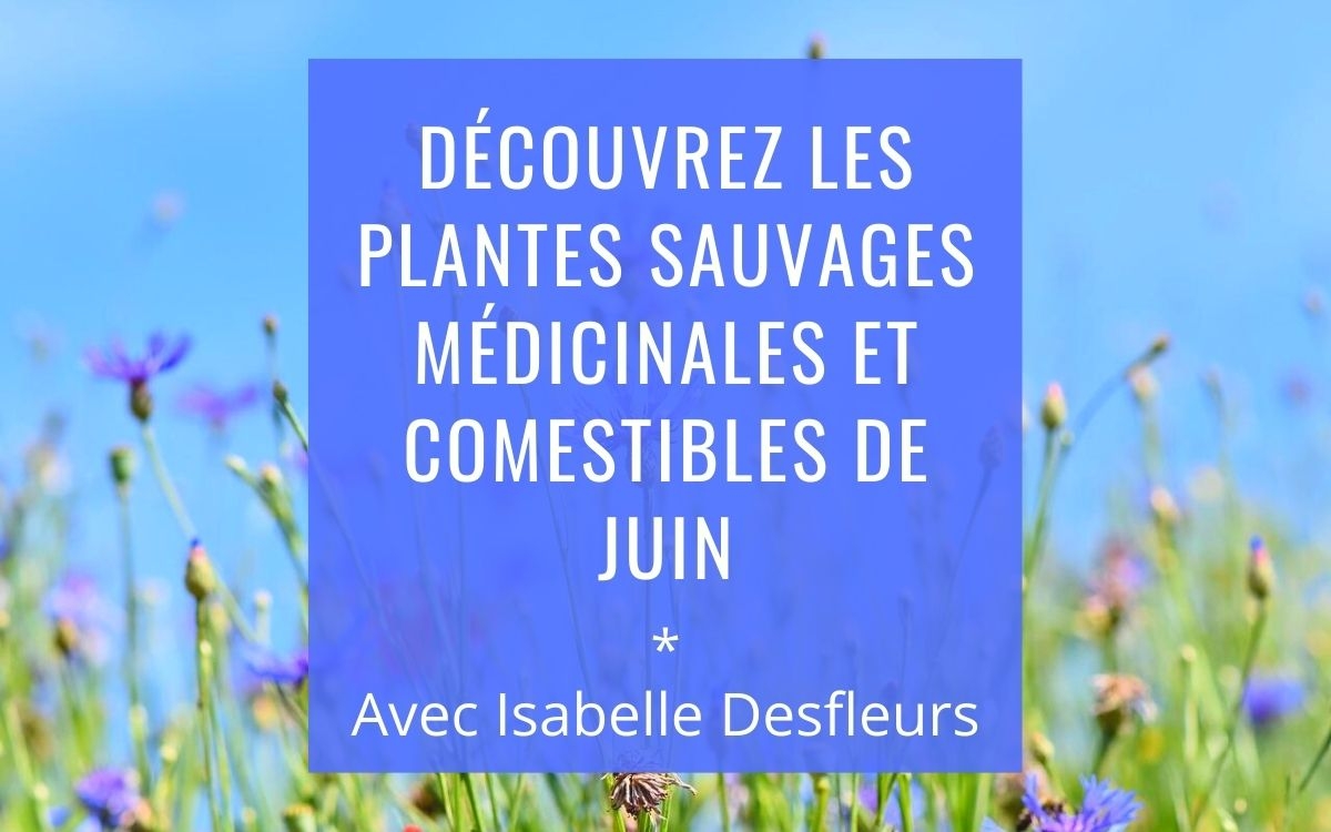 Sortie Plantes sauvages comestibles médicinales Juin Paris