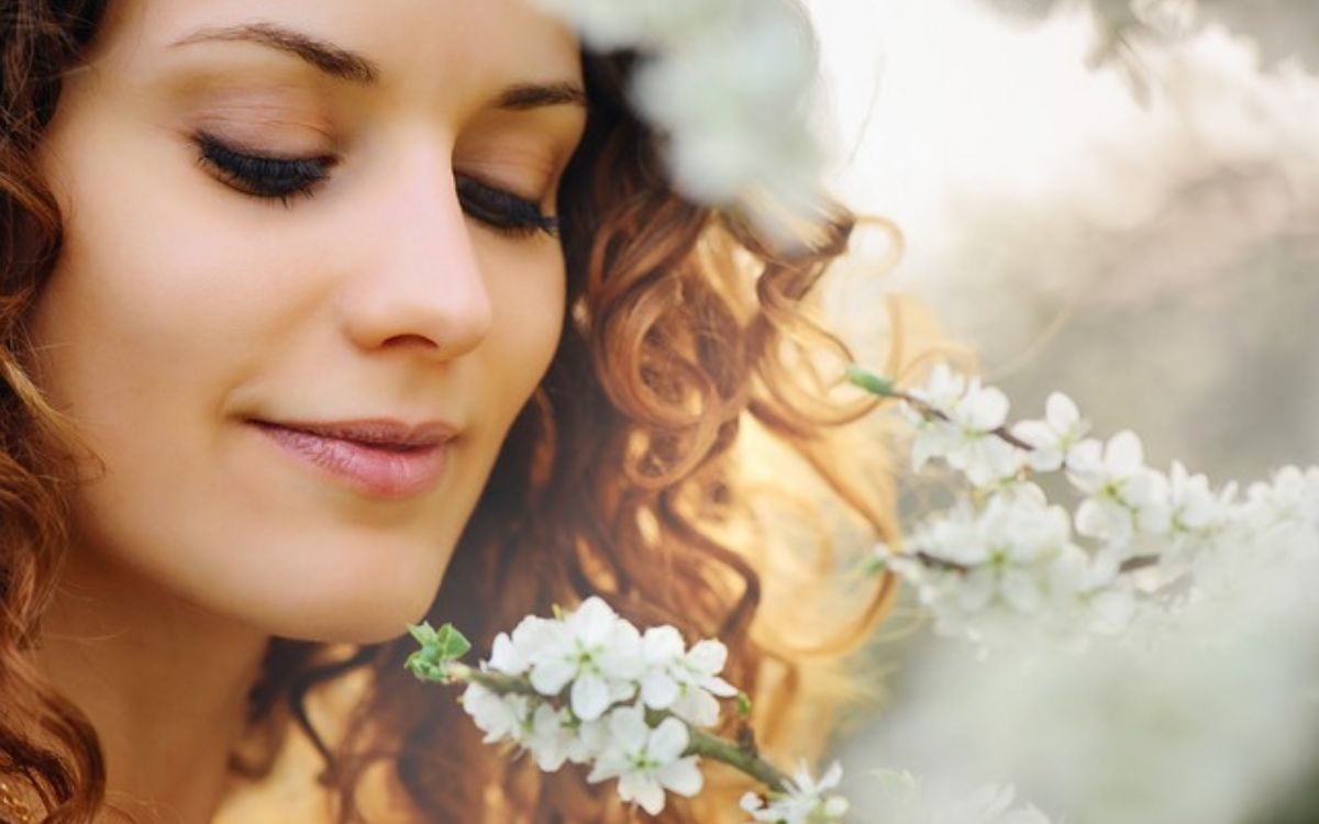 Stage Plantes sauvages médicinales Détente Sommeil Paris