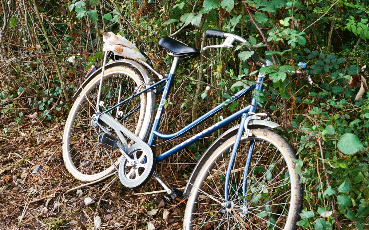 un vélo posé dans un bosquet