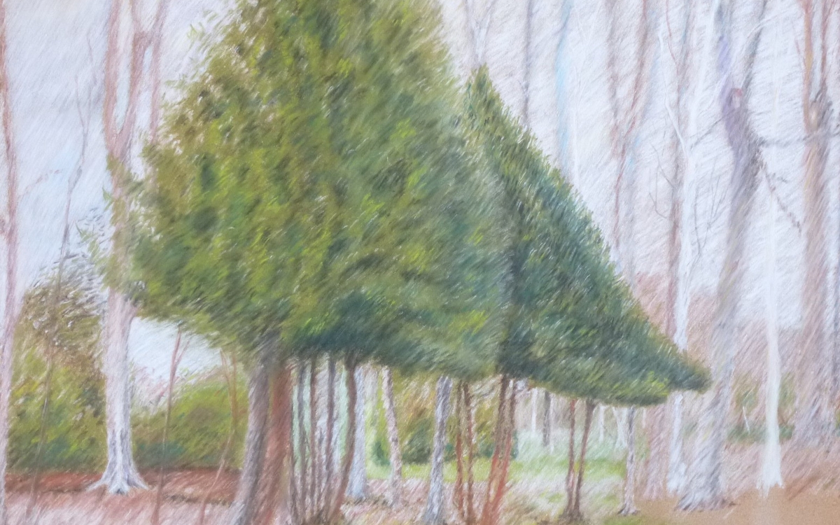 Cours et stages de dessin à Paris-Nathalie Avril