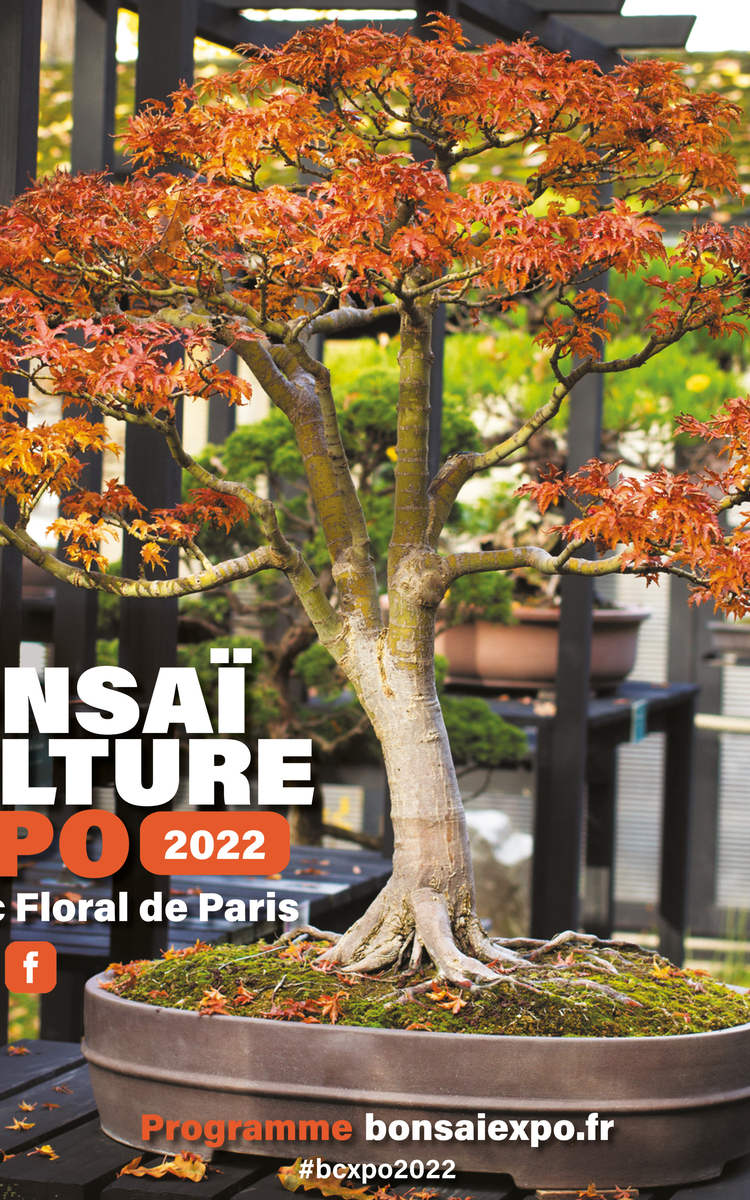 BONSAÏ CULTURE EXPO 2022