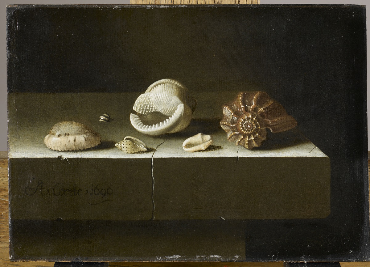 Adriaen S. Coorte, Six coquillages sur une table de pierre. Musée du Louvre, département des Peintures