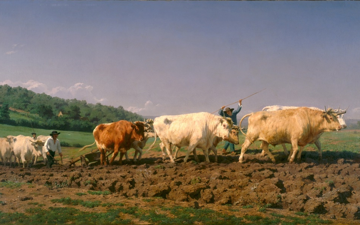Rosa Bonheur (1822-1899) Labourage nivernais, dit aussi Le sombrage 1849 H. 133,0 ; L. 260,0 cm Huile sur toile Paris, musée d’Orsay