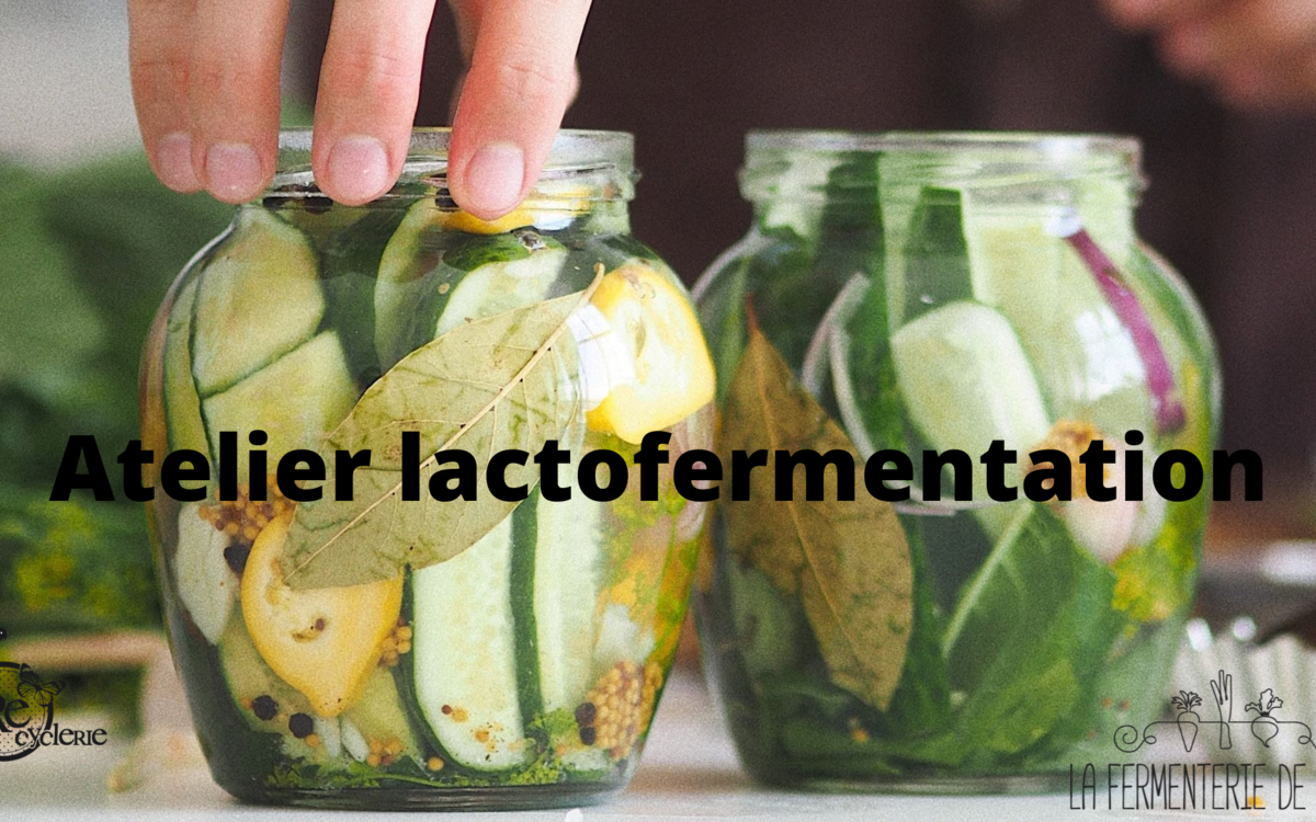 atelier pour lactofermentation de légumes