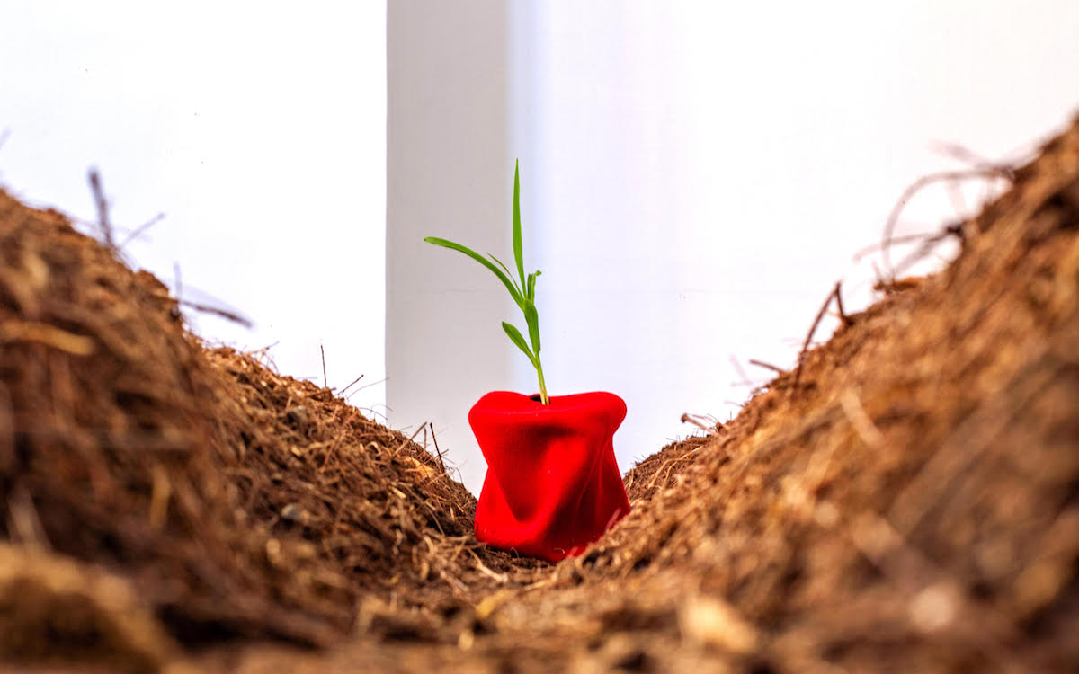 11. 12. 44., détail, 2022, installation de terre, chapeau de tirailleur sénégalais, plans de mil et maïs, présentée à Dakar.