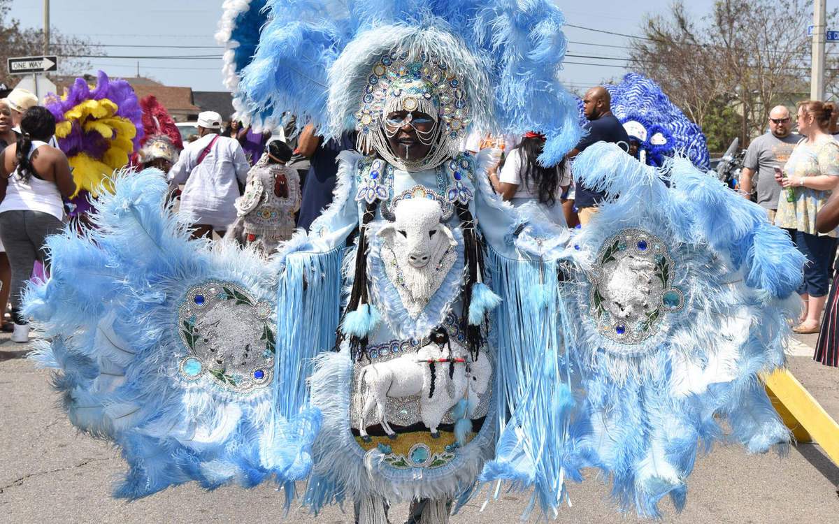 White Bison Suit