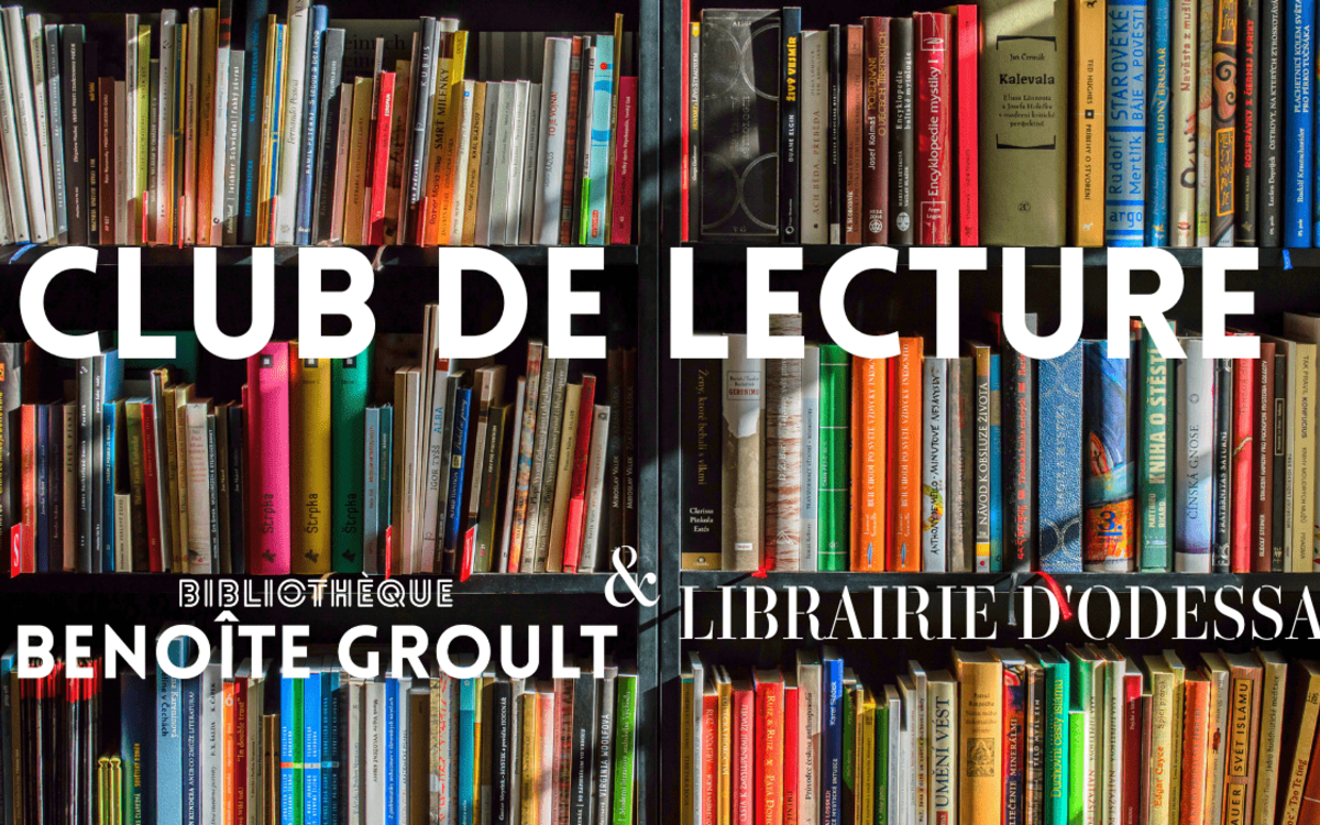 rayonnages de livres au dos colorés éclairés par le soleil