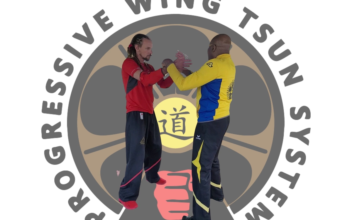 le Daï-Sifu Claude et son élève qui effectuent du Chi-Sao (technique de mains collantes) avec le logo de L'union française du progressive wingtsun system 