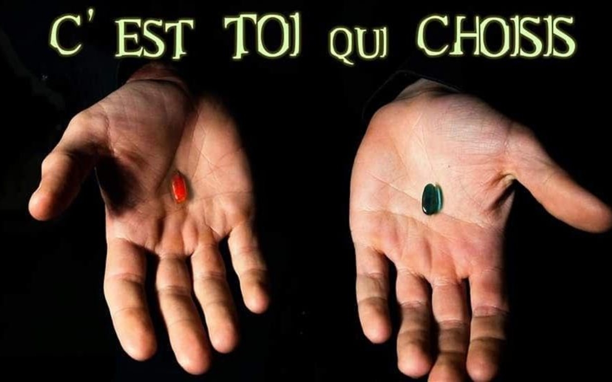 Deux mains qui tiennent chacune une pilule de couleur différente.