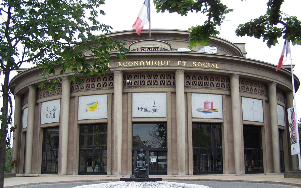 Conseil Économique et Social