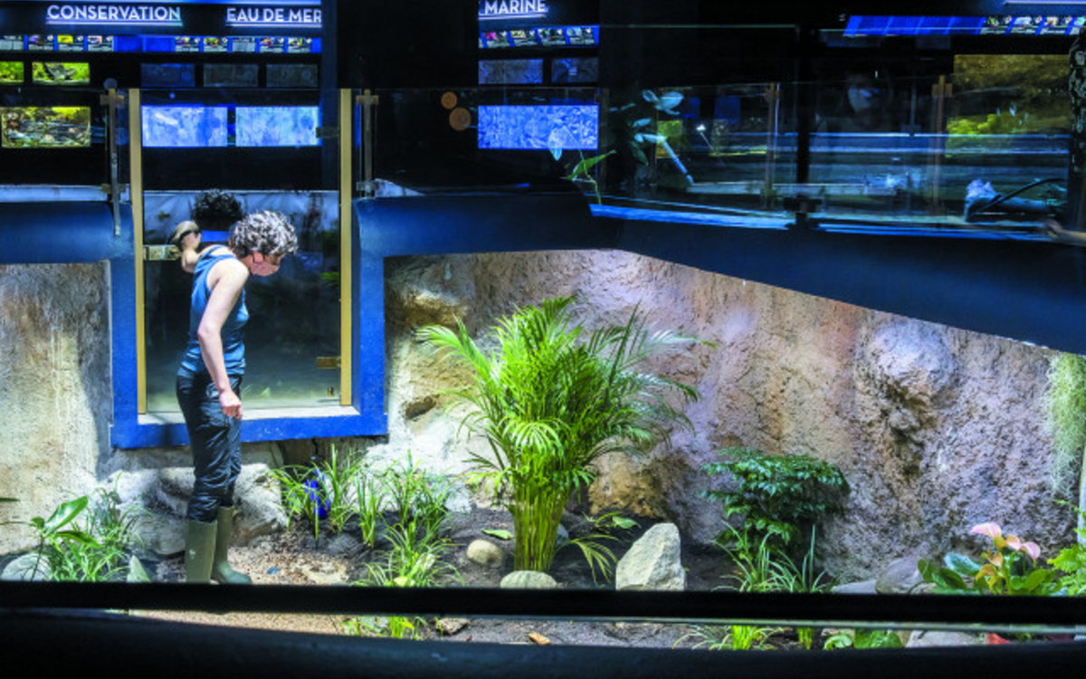 Dans la peau d'un(e) aquariologiste