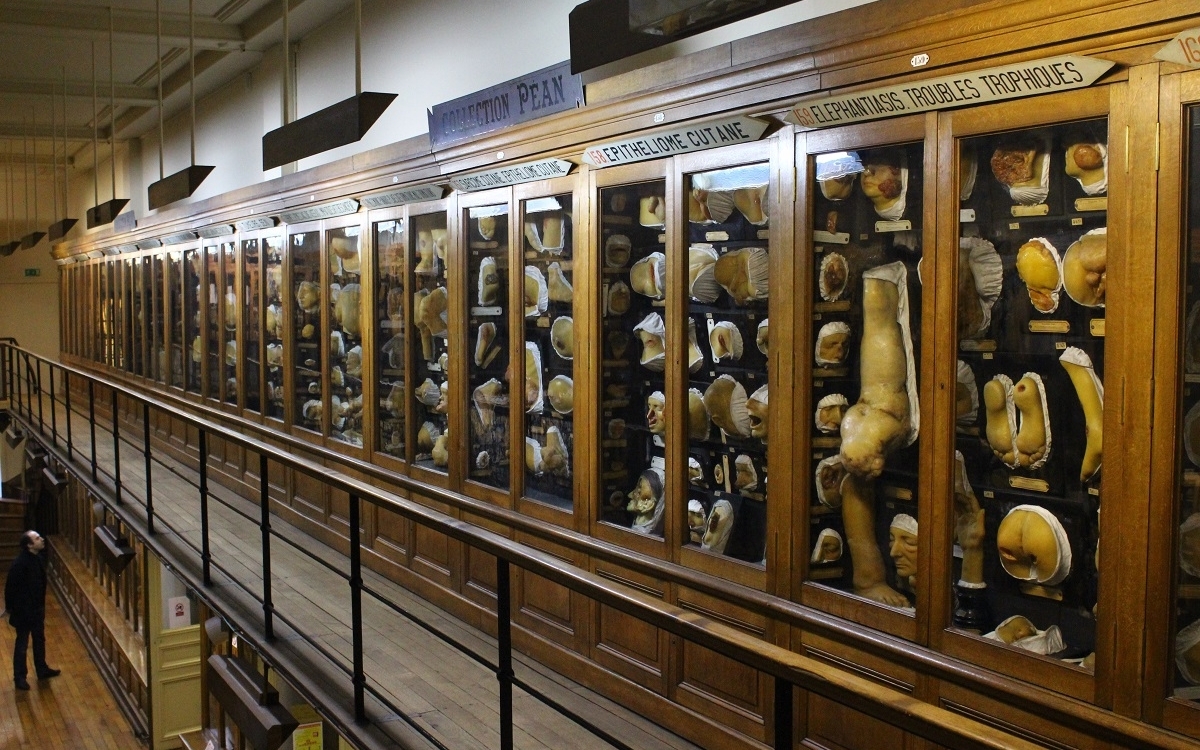 Musée des Moulages