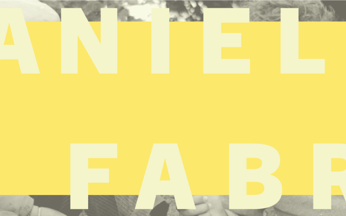 Daniel Fabre (1947-2016). Voir le monde à l'envers