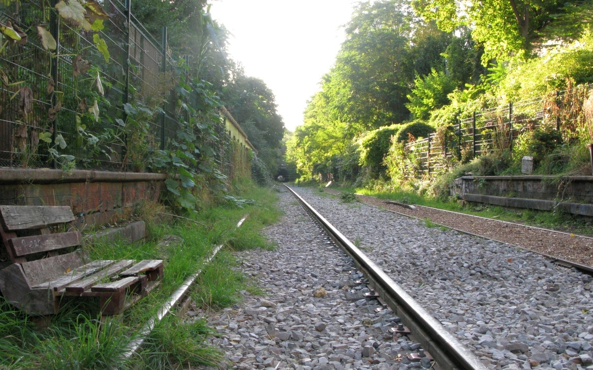 La tranchée de la Petite Ceinture au niveau de la RECyclerie