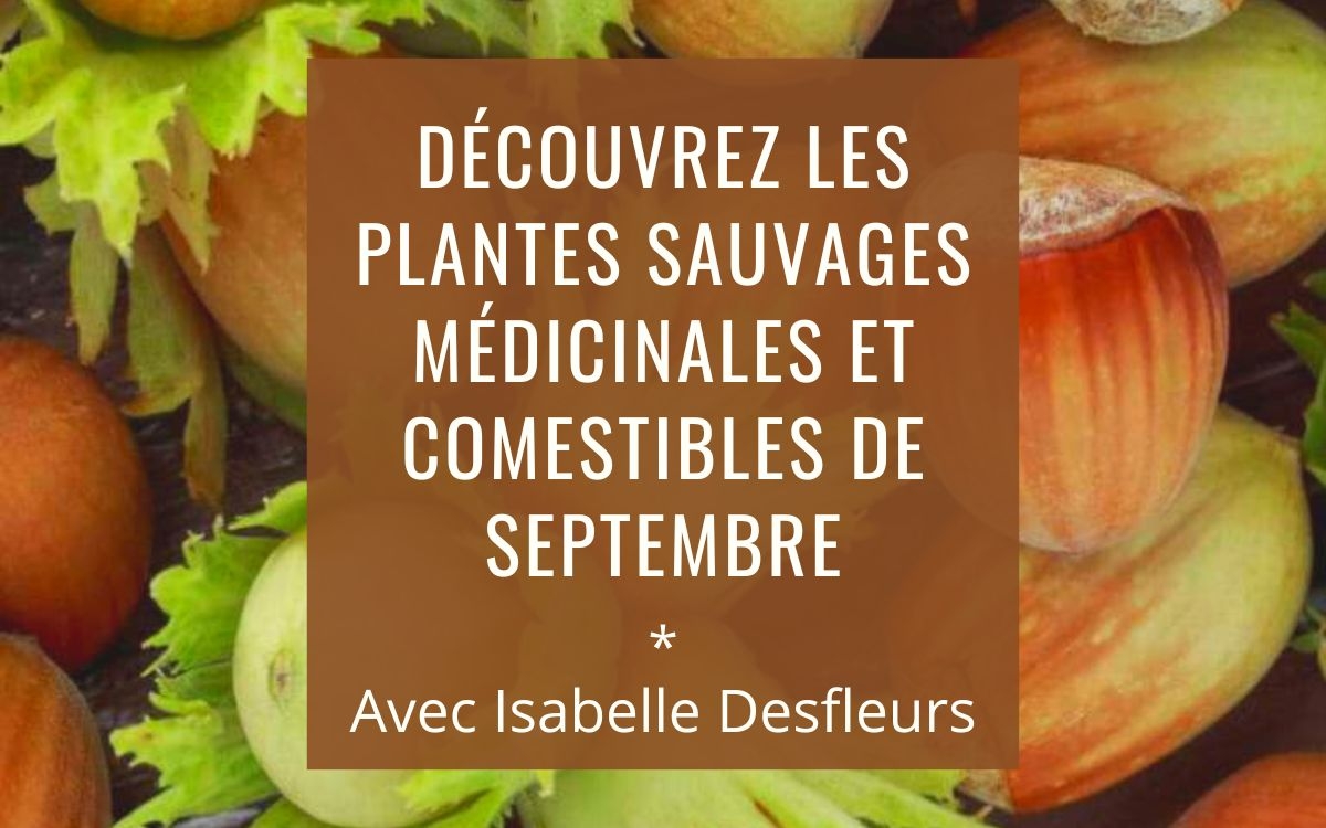 Sortie Plantes sauvages comestibles médicinales septembre Paris