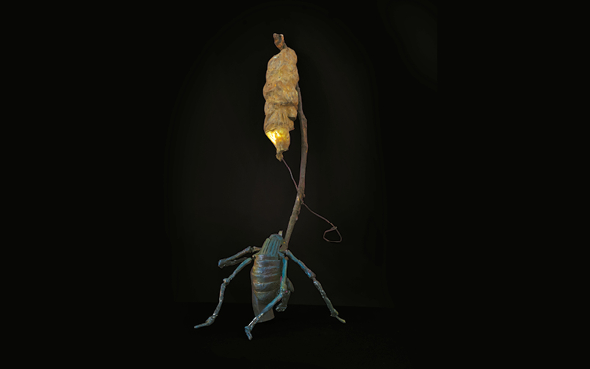 Visuel de BasiK InseKte au Mouffetard