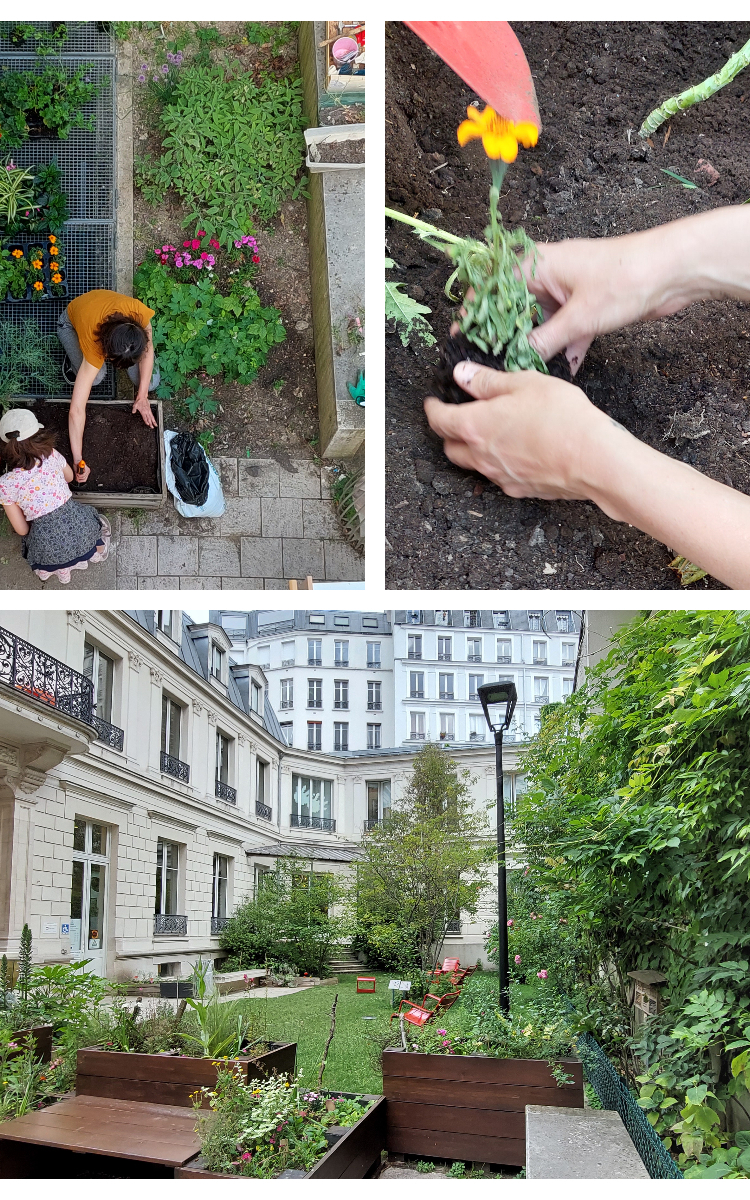 photographies du jardin de la bibliothèque et des ateliers jardinage