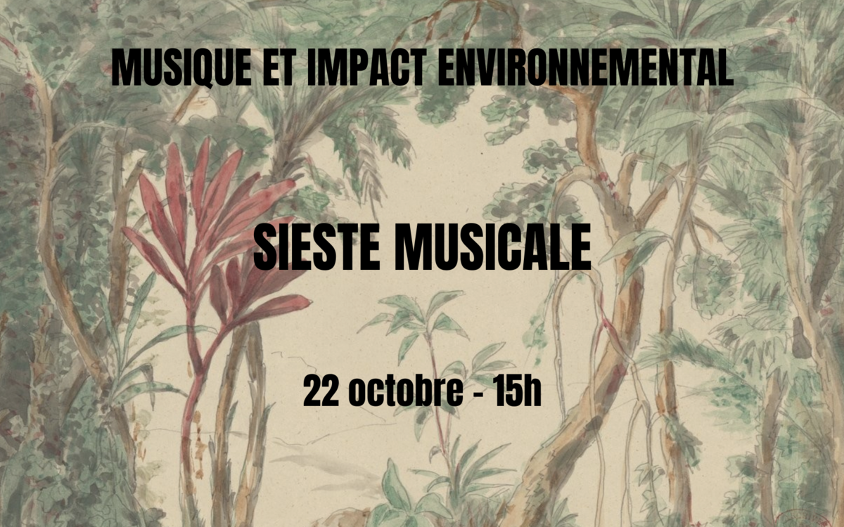 Sieste musicale, musique et impact environnemental