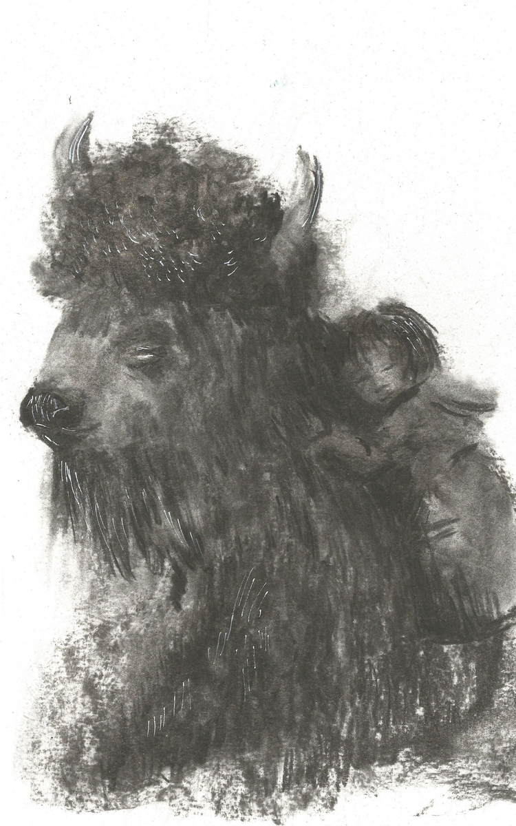 Dessin de bison par Gaya Wisniewski