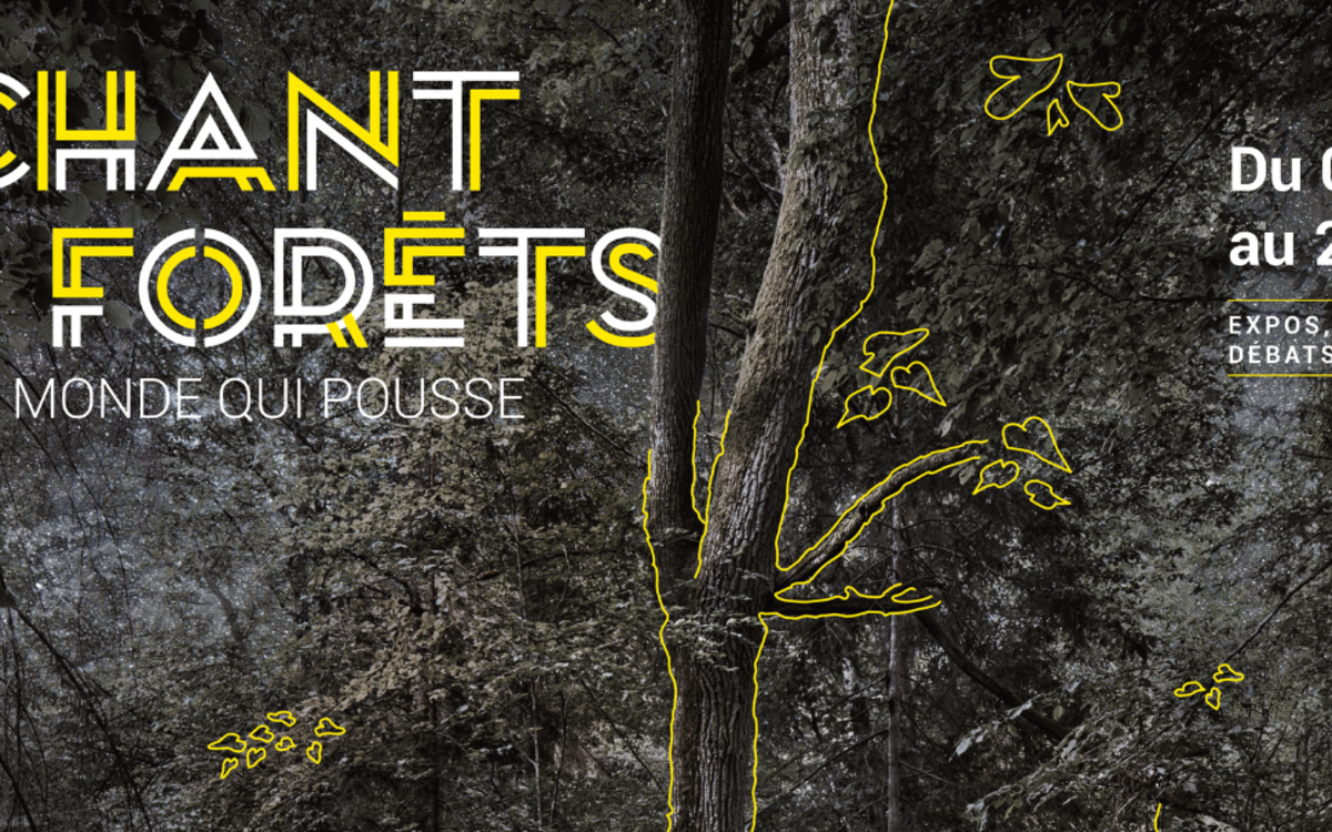 Exposition le chant des forets, l'écho d'un monde qui pousse