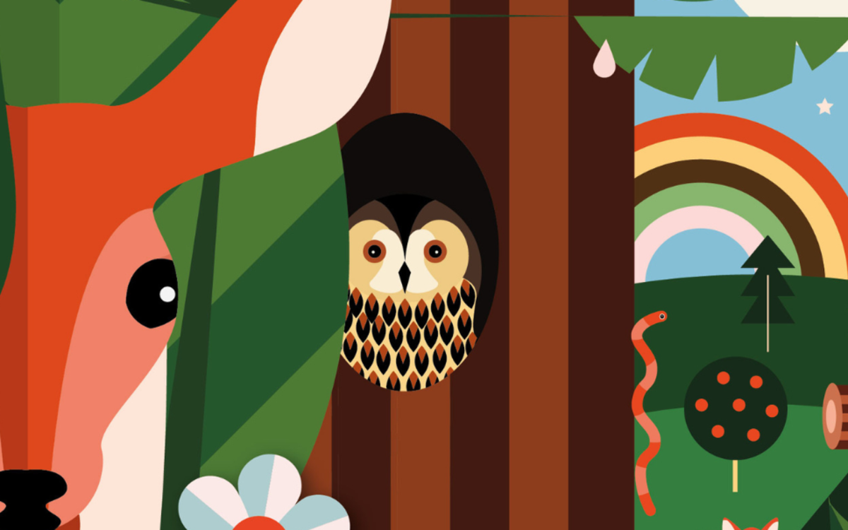 Visite guidée de l'exposition Le Chant des Forets